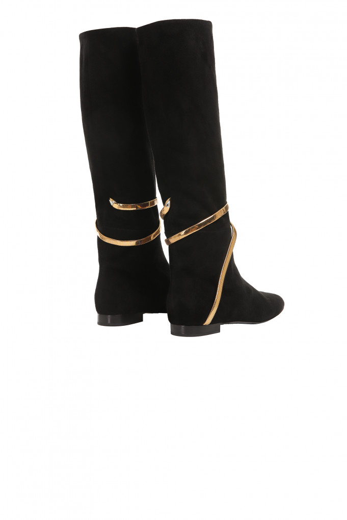 Купити Чоботи RENE CAOVILLA 3