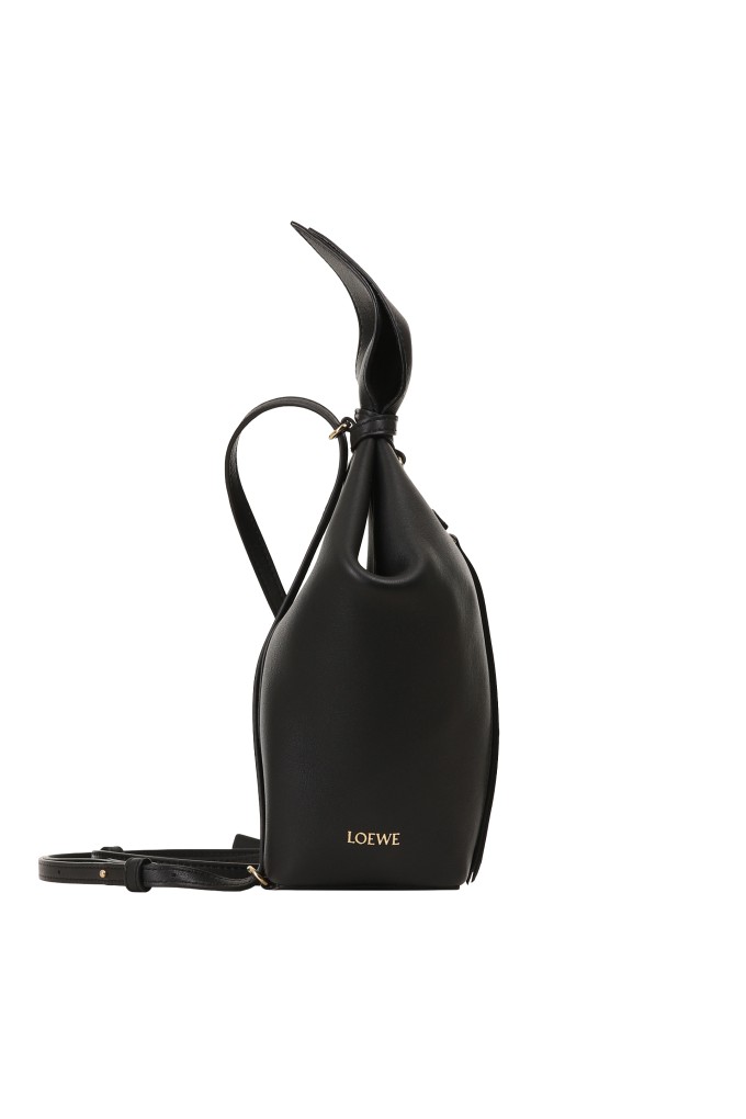Купити Рюкзак Loewe