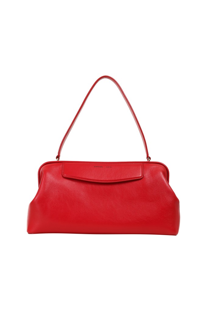 Купити Сумка Carven
