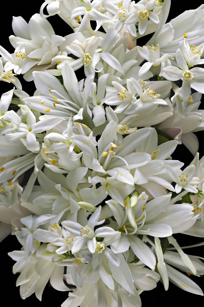 Купить Сменный флакон парфюмированной воды Kilian 4