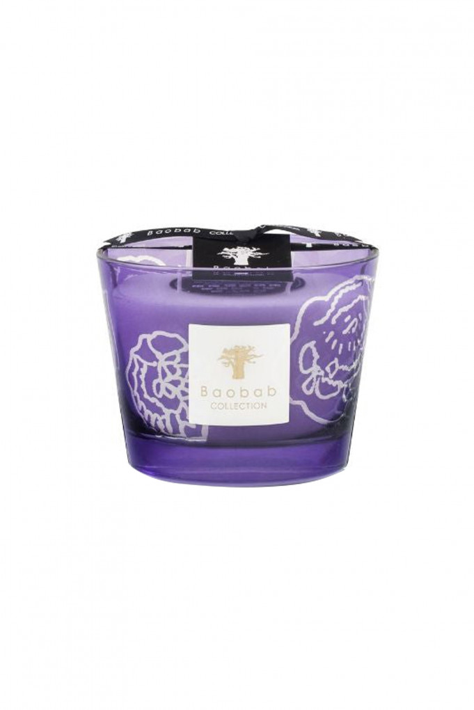 Buy DARK PARMA, Scented candle, 500 g Baobab Collection