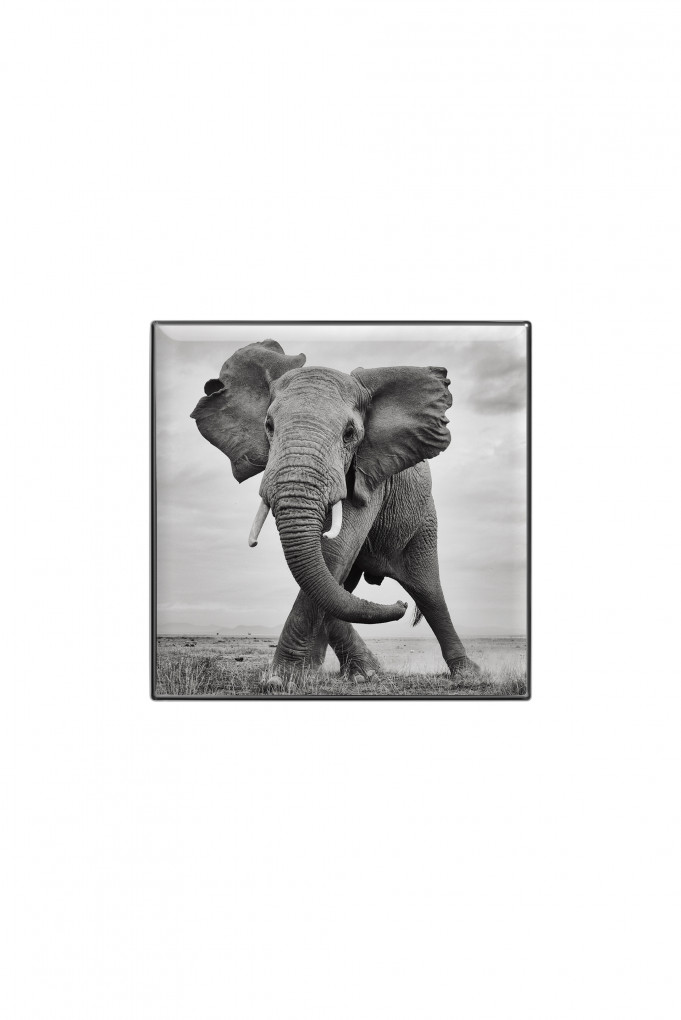 Купити Тіні для повік люмінесцентні Chantecaille 2