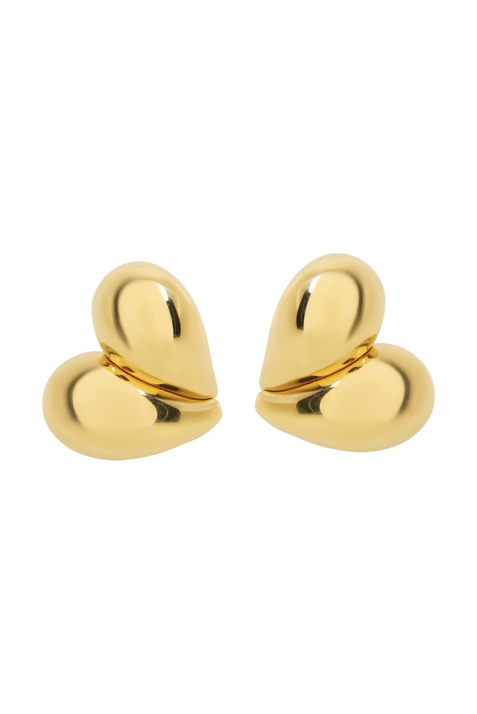 Купити Сережки BOTTEGA VENETA