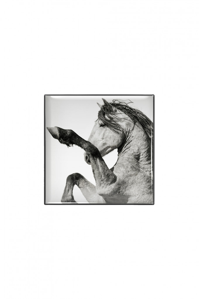 Купити Тіні для повік люмінесцентні Chantecaille 2