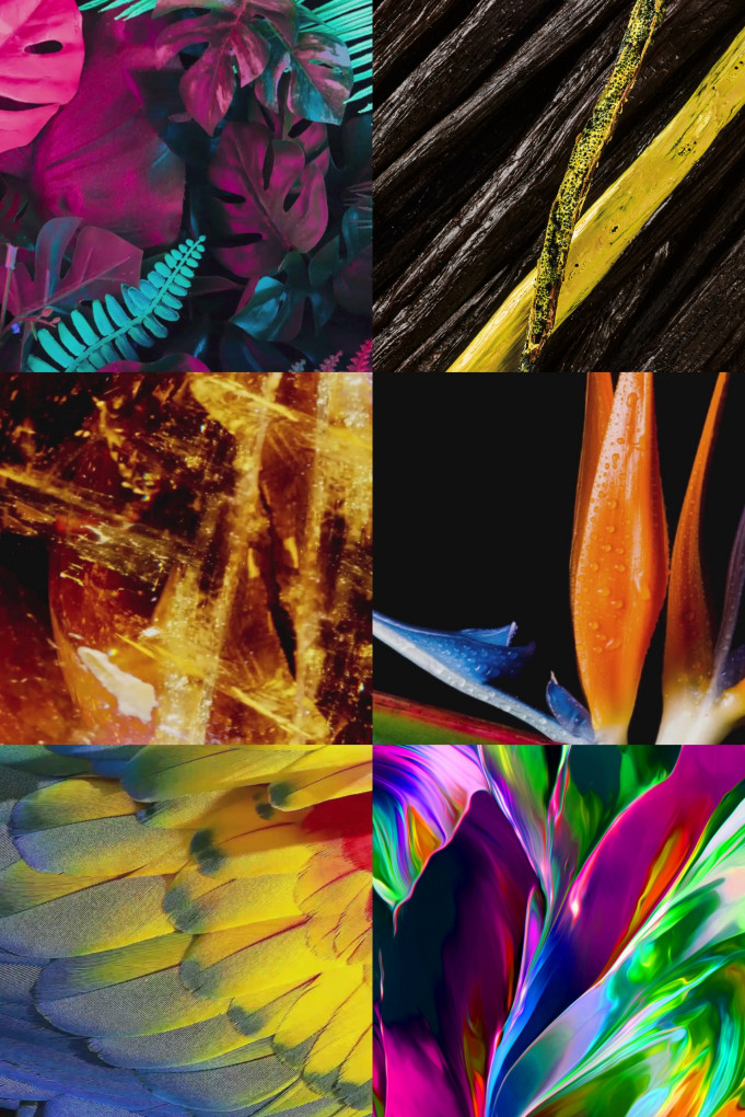 Купити Екстракт парфумерний MAISON CRIVELLI 4