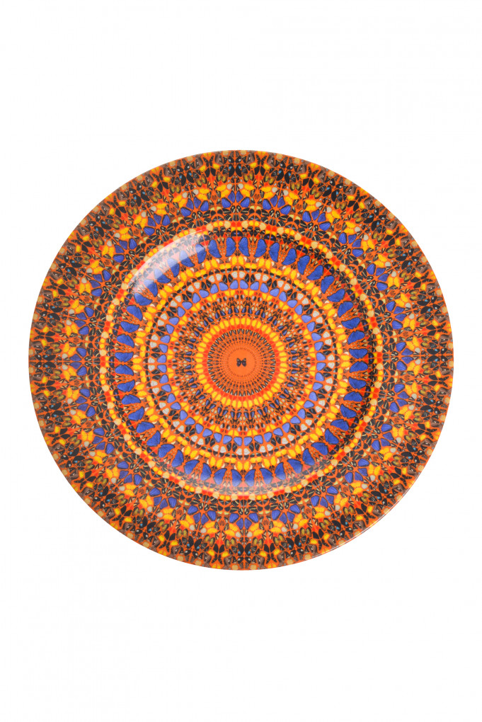 Купити Тарілка Damien Hirst 4