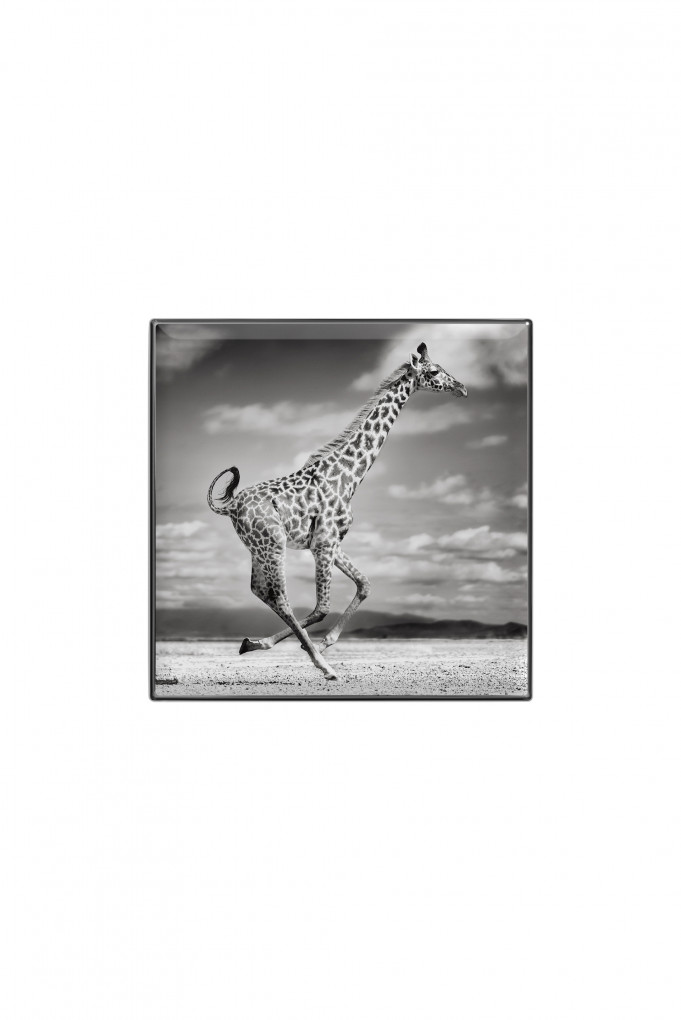 Купити Тіні для повік люмінесцентні Chantecaille 2