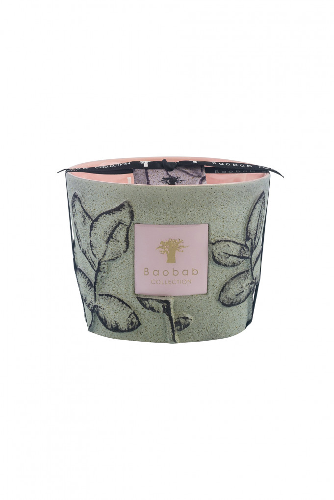 Купити Свіча парфумована Baobab Collection