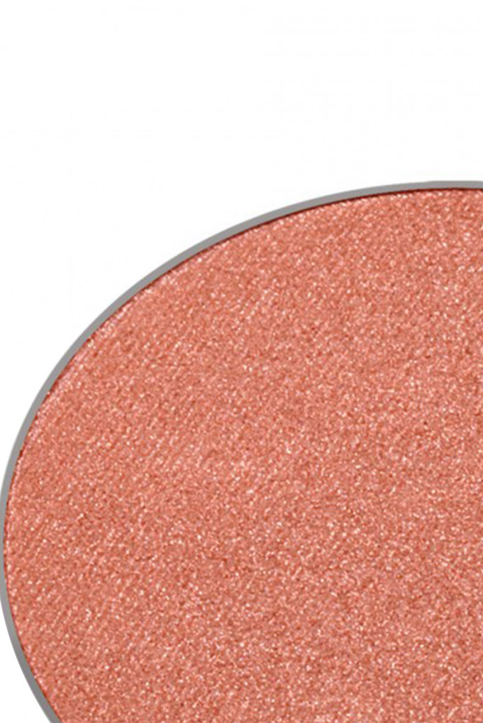 Купити Тіні для повік (змінний блок) Chantecaille 2