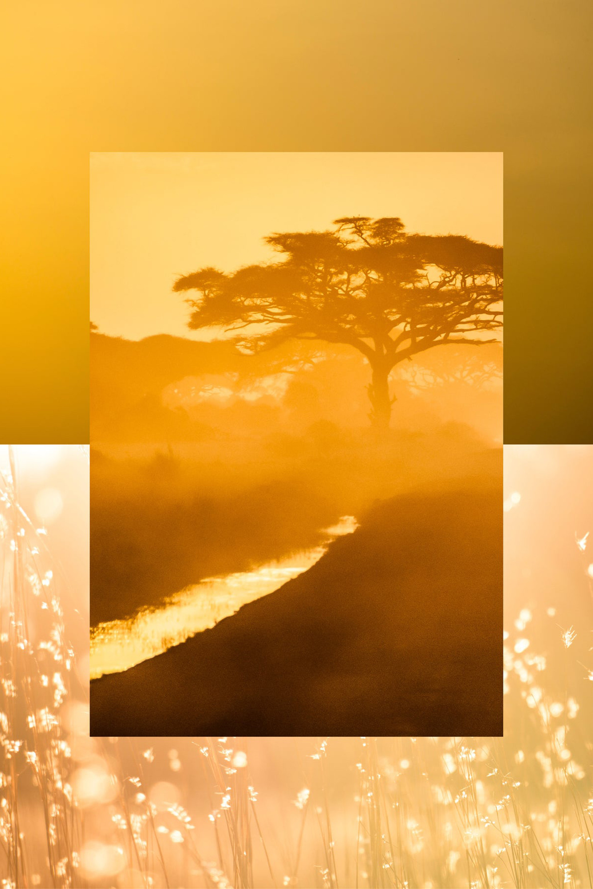 Buy Perfume AQUALIS 4