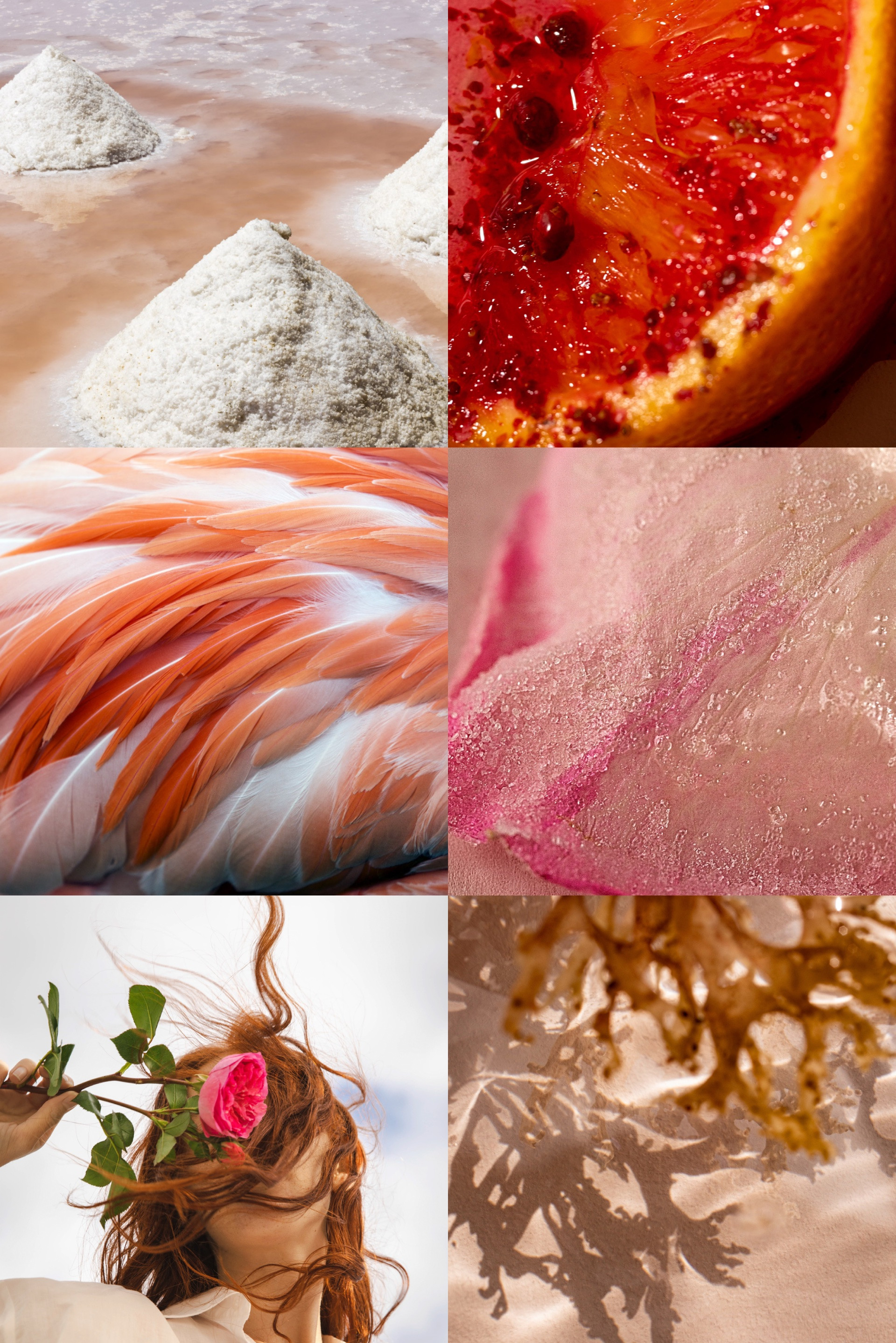 Buy Eau de Parfum MAISON CRIVELLI 4