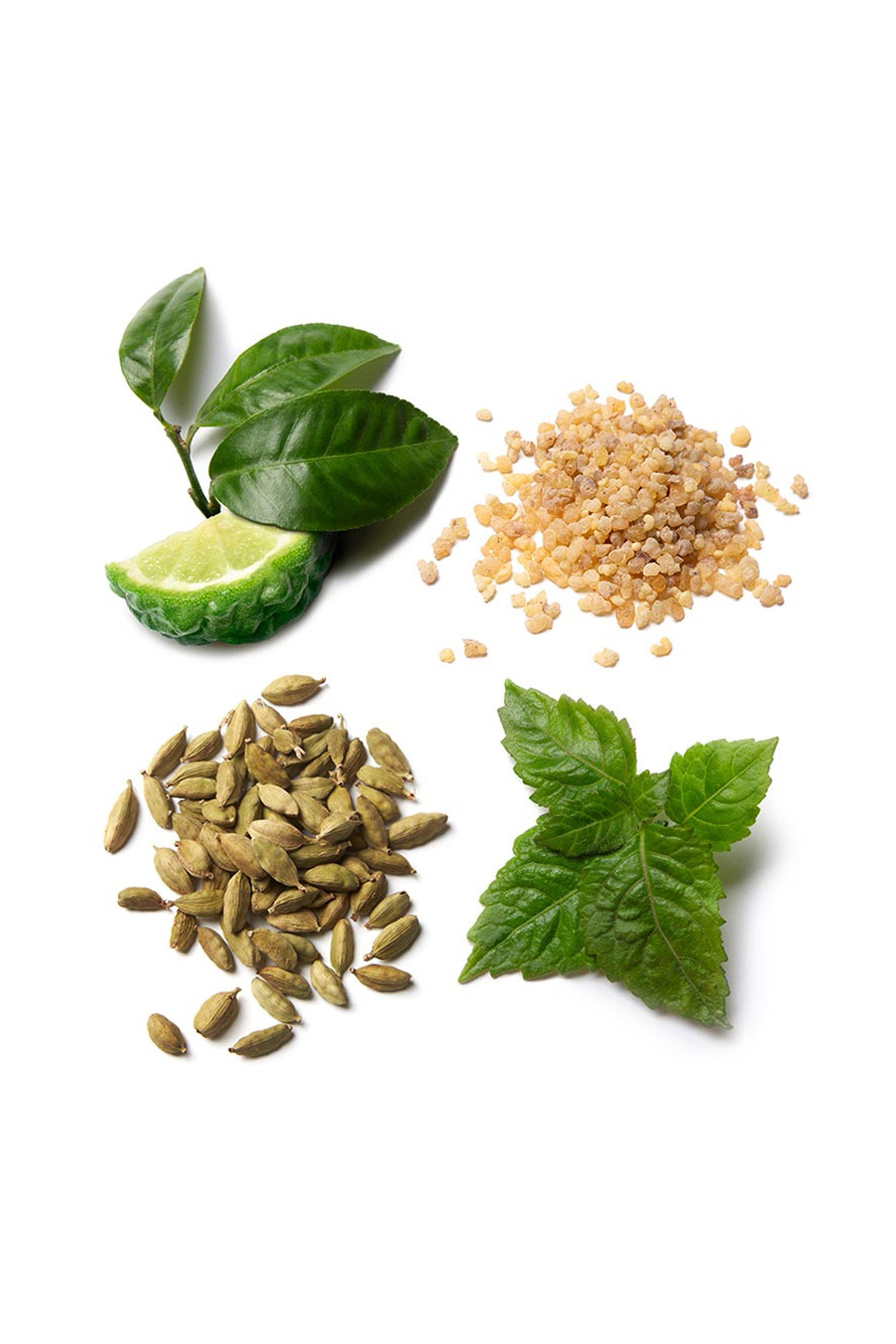 Купити Вода парфумована BRIONI 3