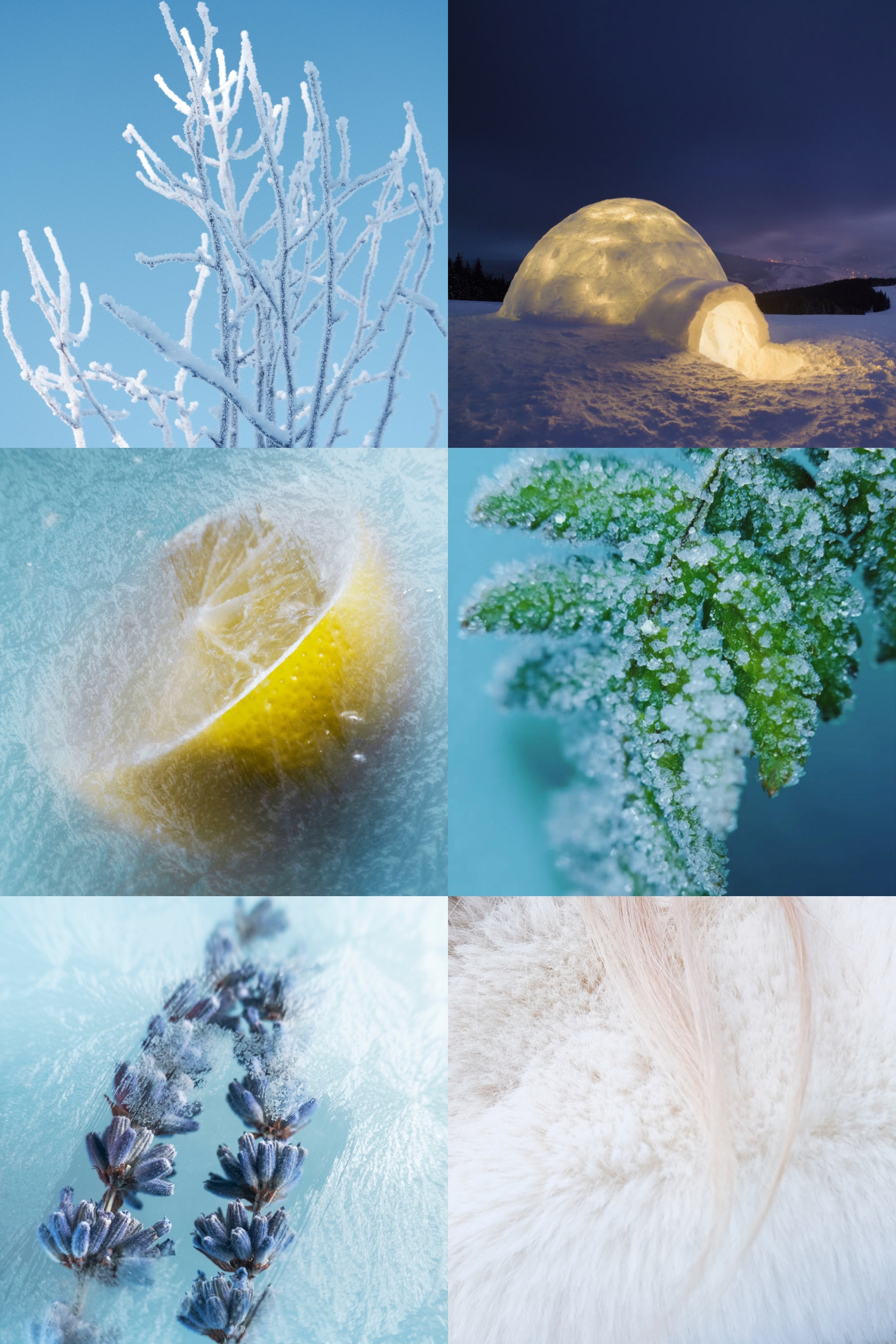 Купить Вода парфюмированная MAISON CRIVELLI 4