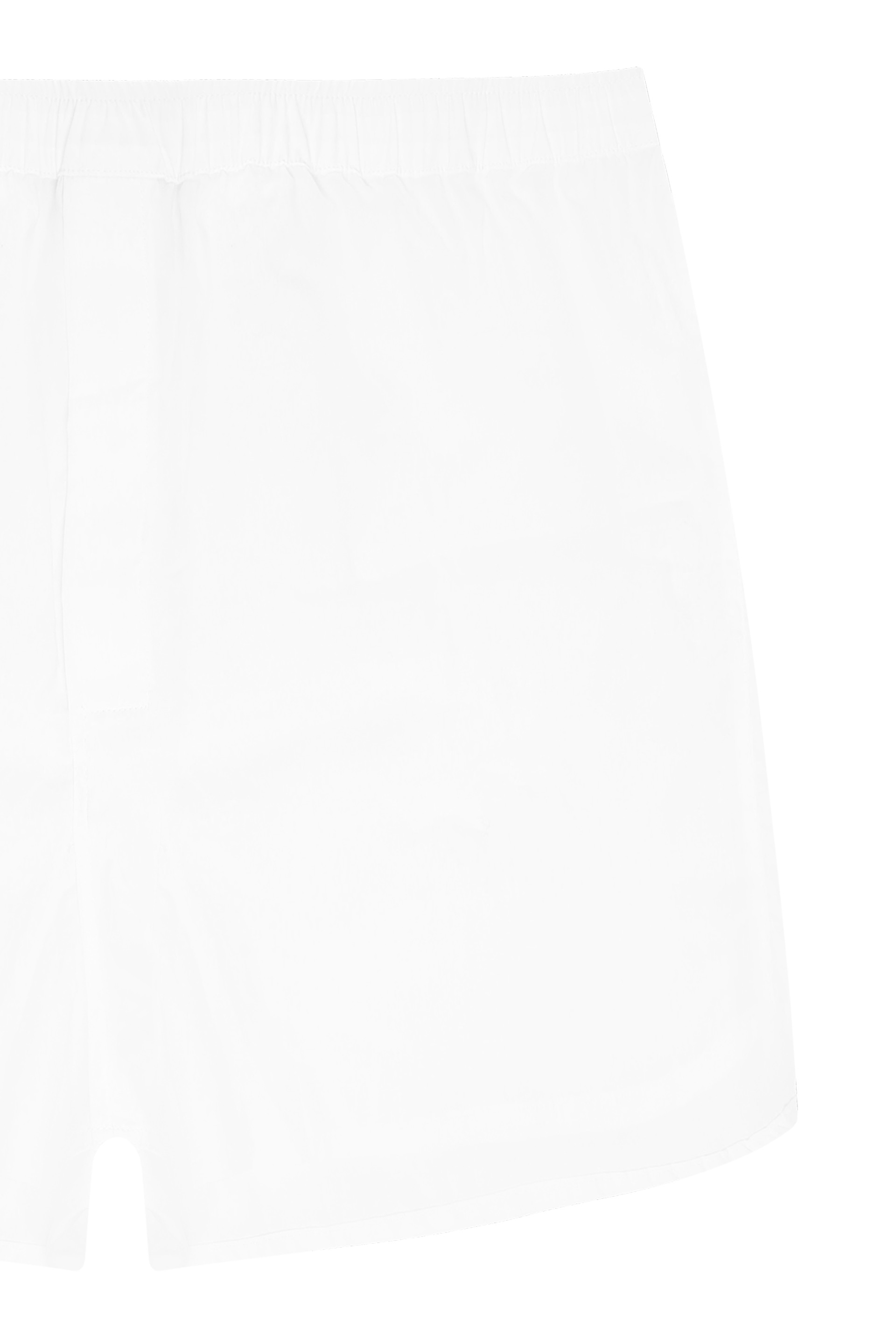 Купити Боксери Derek Rose 2