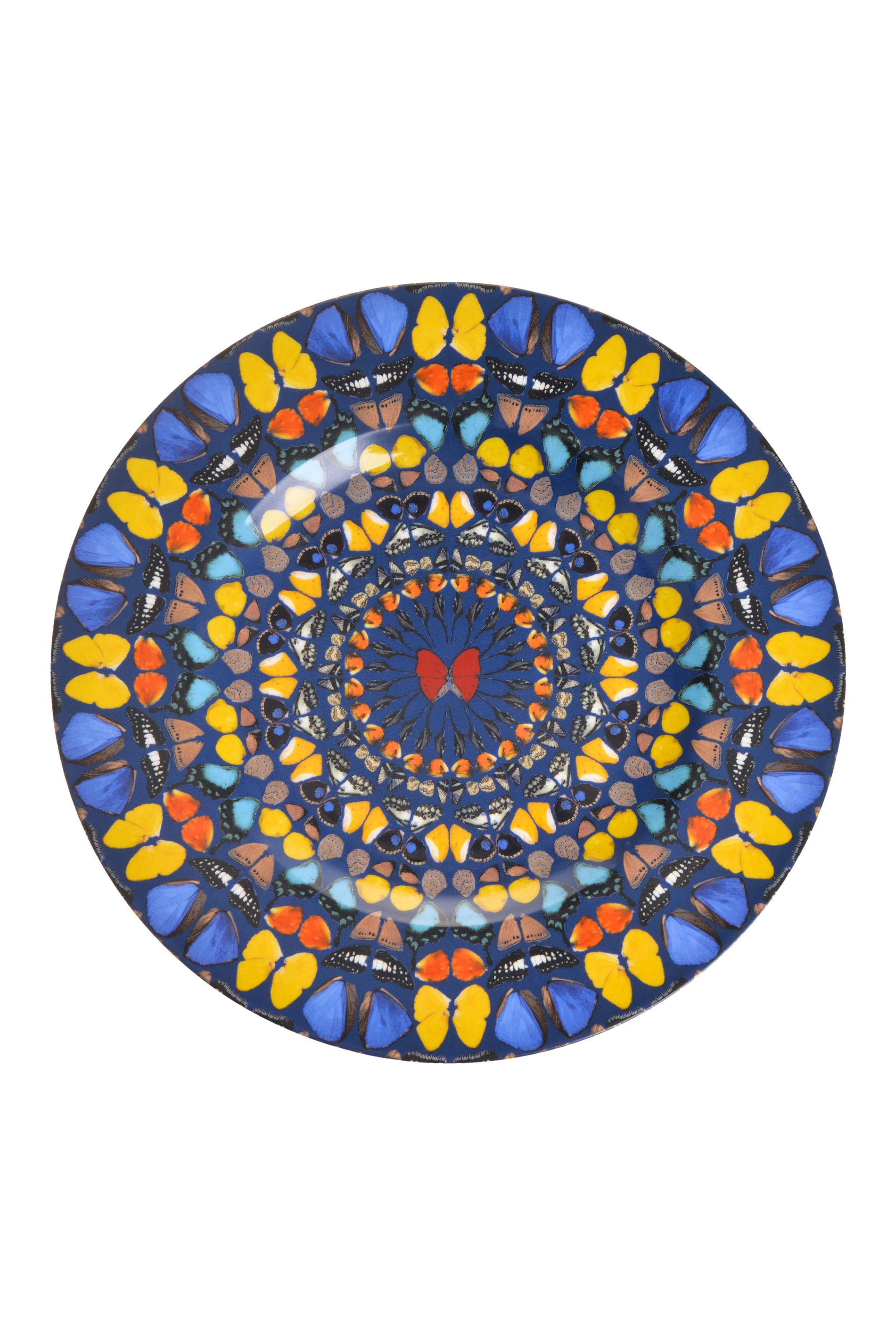 Купити Тарілка Damien Hirst 6