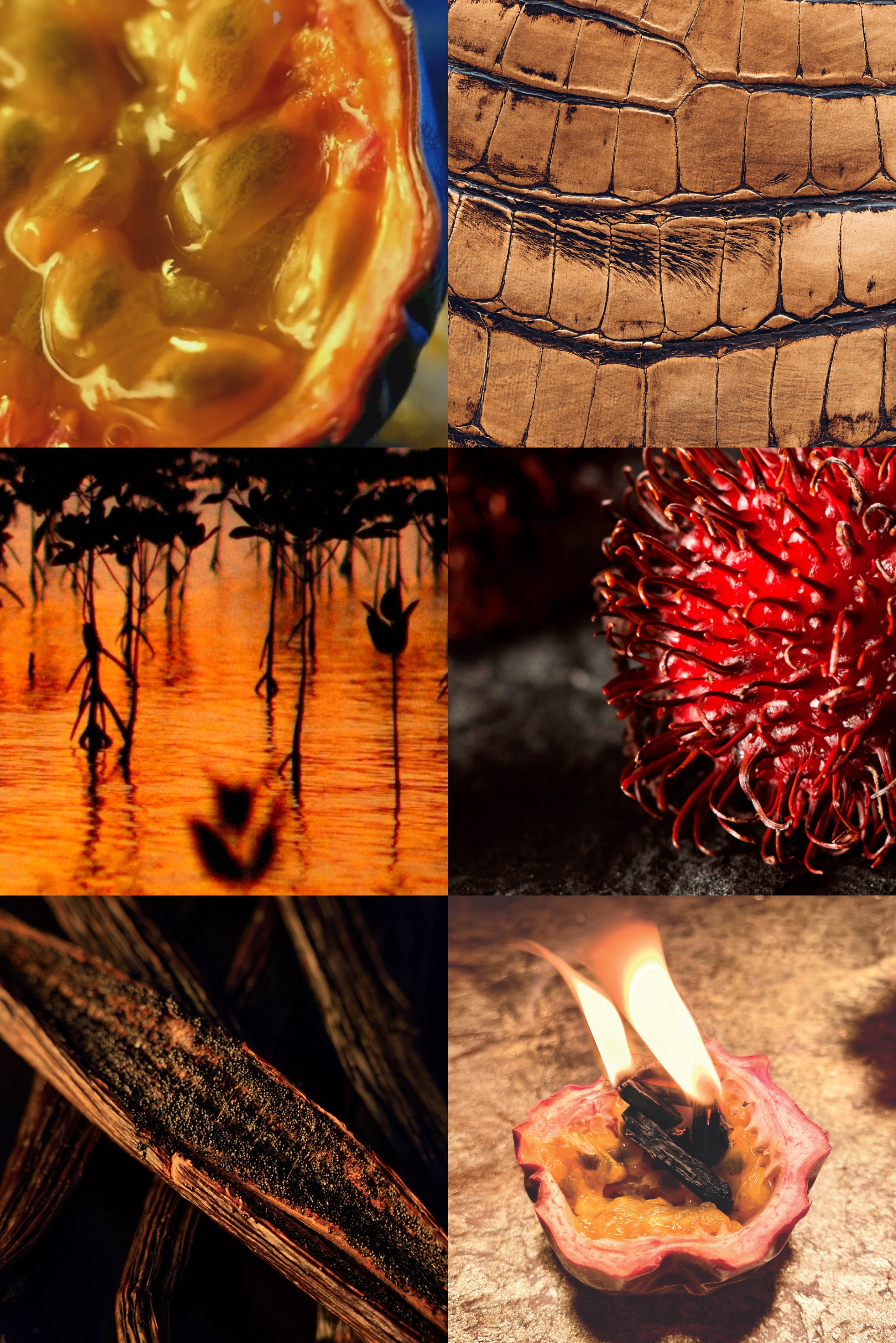 Купити Екстракт парфумерний MAISON CRIVELLI 4