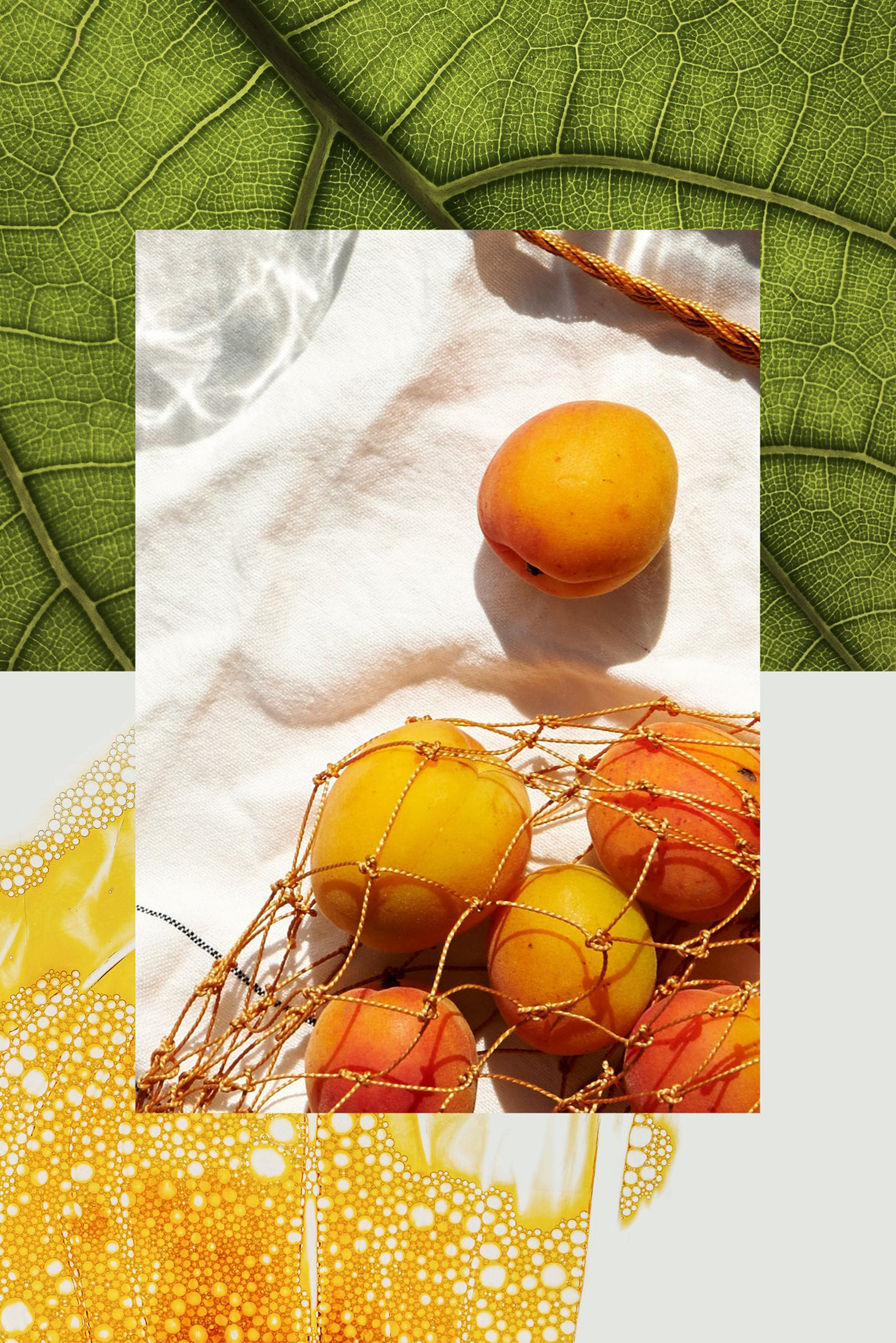 Buy Perfume AQUALIS 5