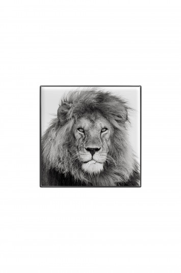 Купити Тіні для повік люмінесцентні Chantecaille