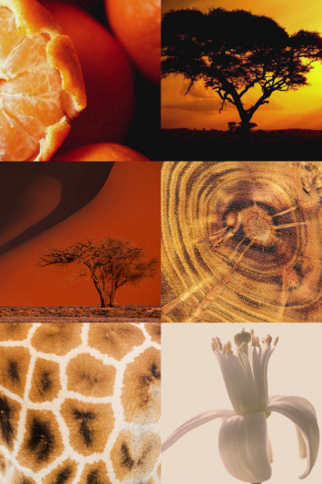 Купити Вода парфумована MAISON CRIVELLI 3