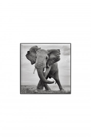 Купити Тіні для повік люмінесцентні Chantecaille