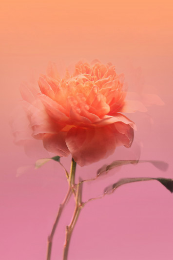 Купити Вода парфумована BDK Parfums Paris 3