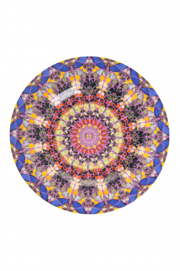 Купити Тарілка Damien Hirst 6