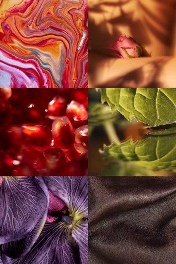 Buy Extrait de Parfum MAISON CRIVELLI 3