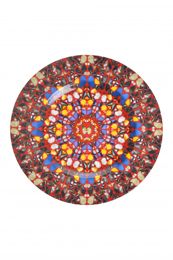 Купити Тарілка Damien Hirst 2