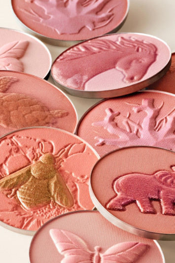 Купити Рум'яна для щік Chantecaille