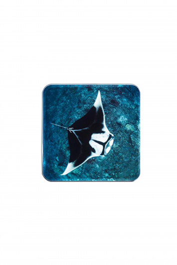 Купити Набір косметики для щік Chantecaille