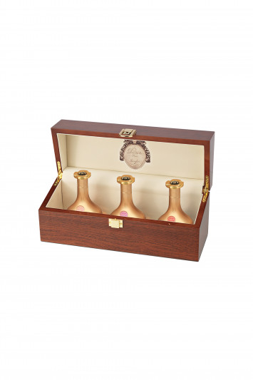 Купити Набір парфумів у футлярі Dorin