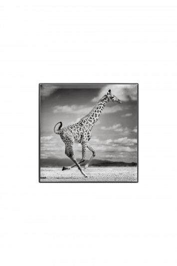 Купити Тіні для повік люмінесцентні Chantecaille