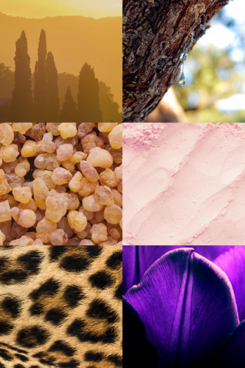 Купити Вода парфумована MAISON CRIVELLI 3