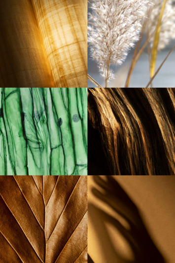 Buy Eau de Parfum MAISON CRIVELLI 3