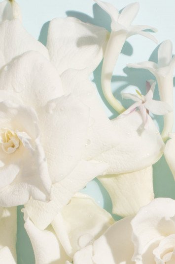 Купити Вода парфумована Chantecaille