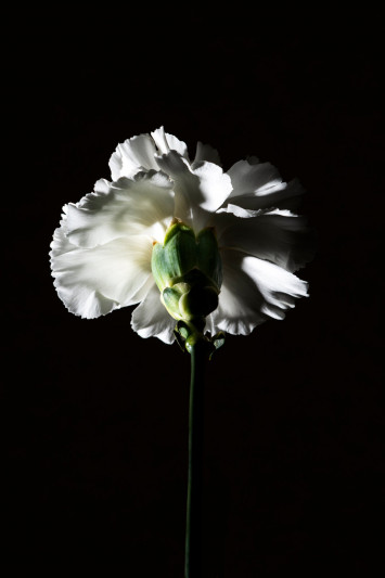 Купити Вода парфумована BDK Parfums Paris 4