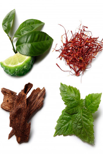 Купити Вода парфумована концентрована BRIONI 2