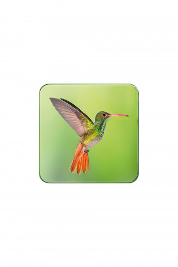 Купити Палітра тіней для повік з ефектом мерехтіння Chantecaille