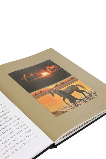 Купити Книга Assouline 4