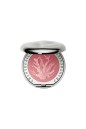 Buy Blush for cheeks Chantecaille