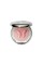 Buy Blush for cheeks Chantecaille